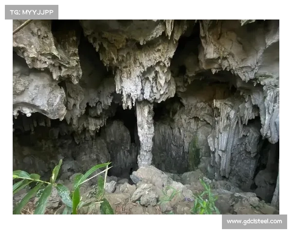 仙界神殿探秘四大奇迹之地揭示隐藏的神秘与力量