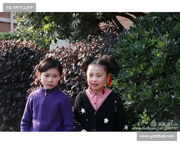 《龙的传人技能加点实用技巧与优化策略全解析》