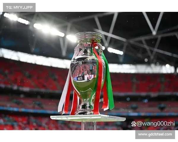 五个希季尔在欧洲杯赛场闪耀的高光时刻与永恒传奇瞬间