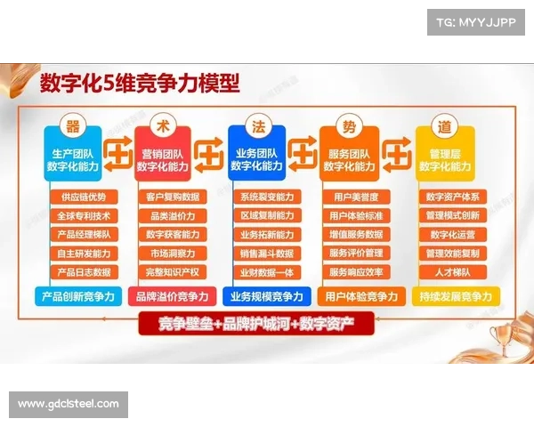 全面提升浦和红钻亚冠竞争力的综合战略路径与可持续发展方案体系 全面提升浦和红钻亚冠竞争力的综合战略路径与可持续发展方案体系